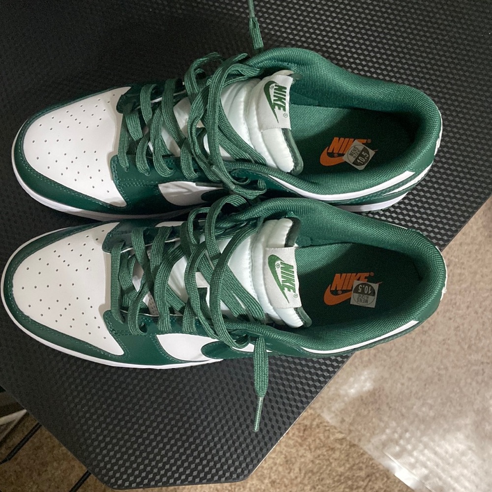 Michigan State dunk lows dead stock size 10.5